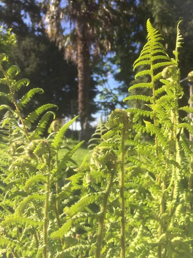 L'Hôtié de Brocéliande Acomodação com café da manhã Paimpont Alojamento de Acomodação e Pequeno-almoço