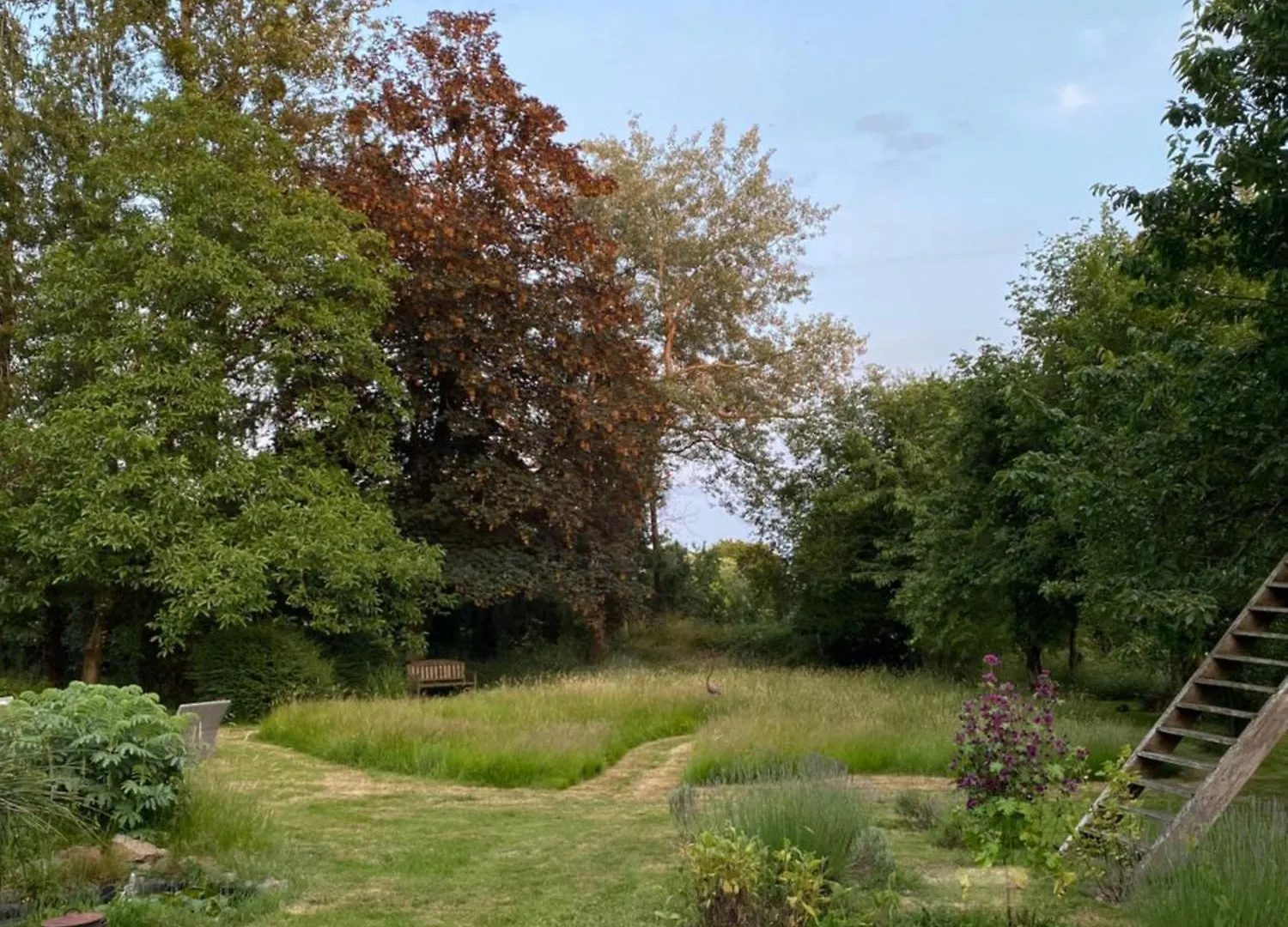 L'Hôtié de Brocéliande Acomodação com café da manhã Paimpont 0*,