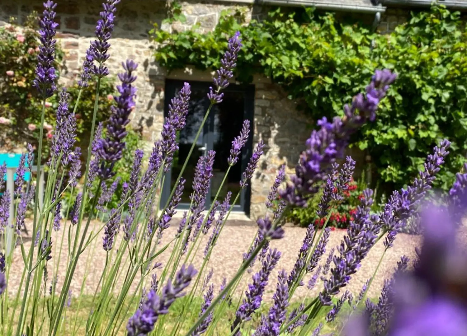 L'Hôtié de Brocéliande Acomodação com café da manhã Paimpont Alojamento de Acomodação e Pequeno-almoço